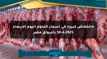 «انخفاض كبير» في أسعار اللحوم اليوم الأربعاء 30-4-2025 بأسواق مصر